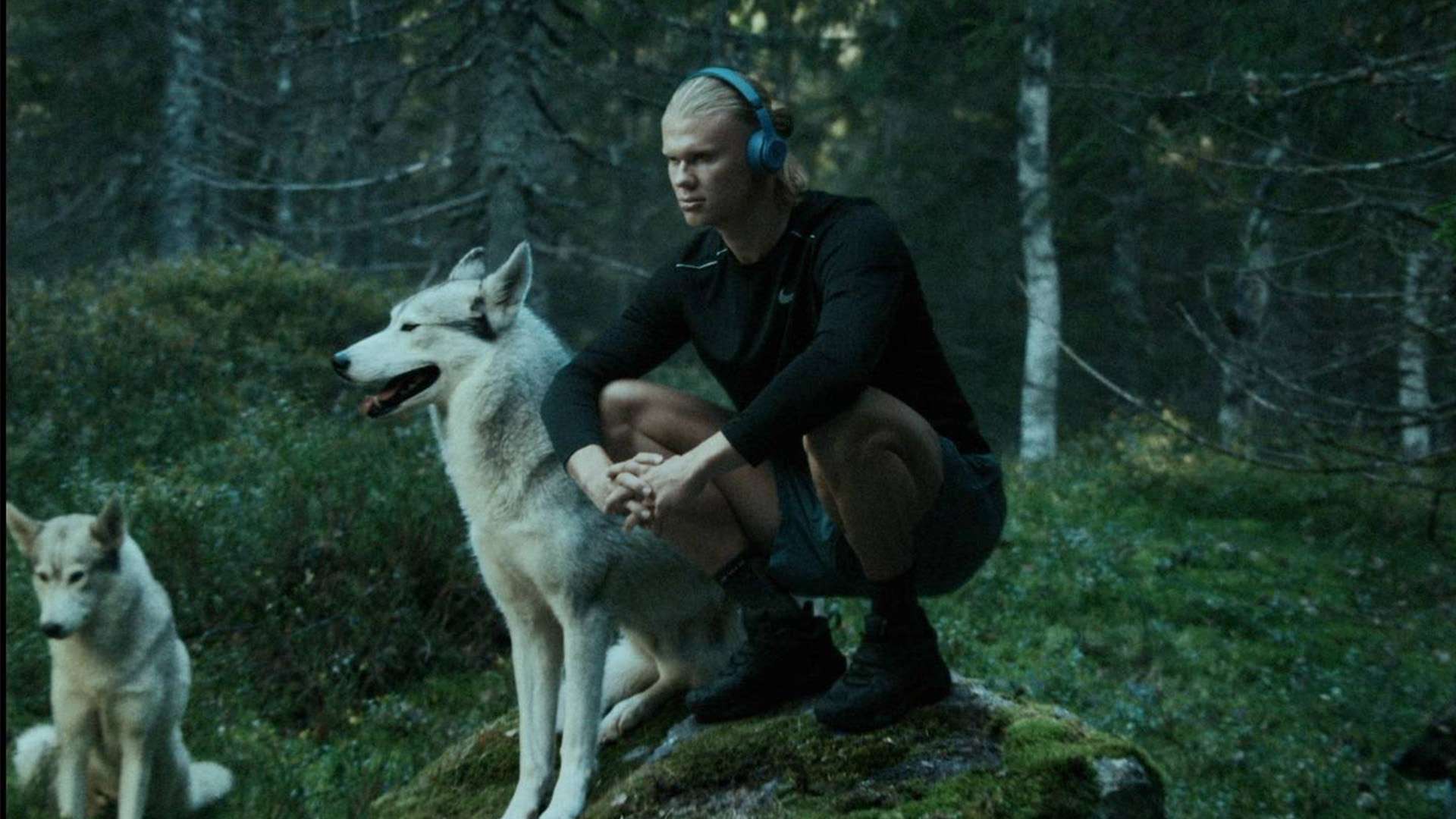 他们的故事 他们的故事