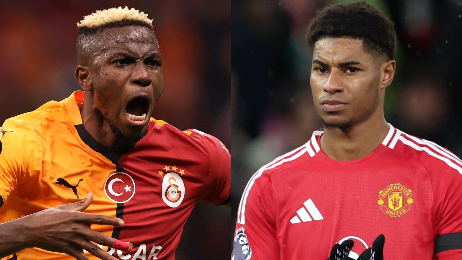 生的意志品 生的意志品